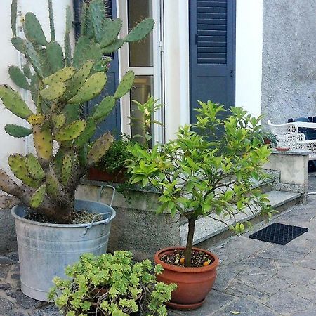 All'Ombra Dei Tassi Mandello del Lario Exterior foto